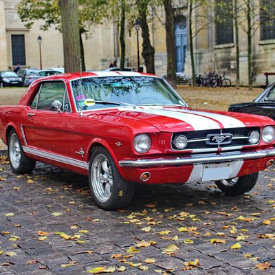 Mustang Red & White