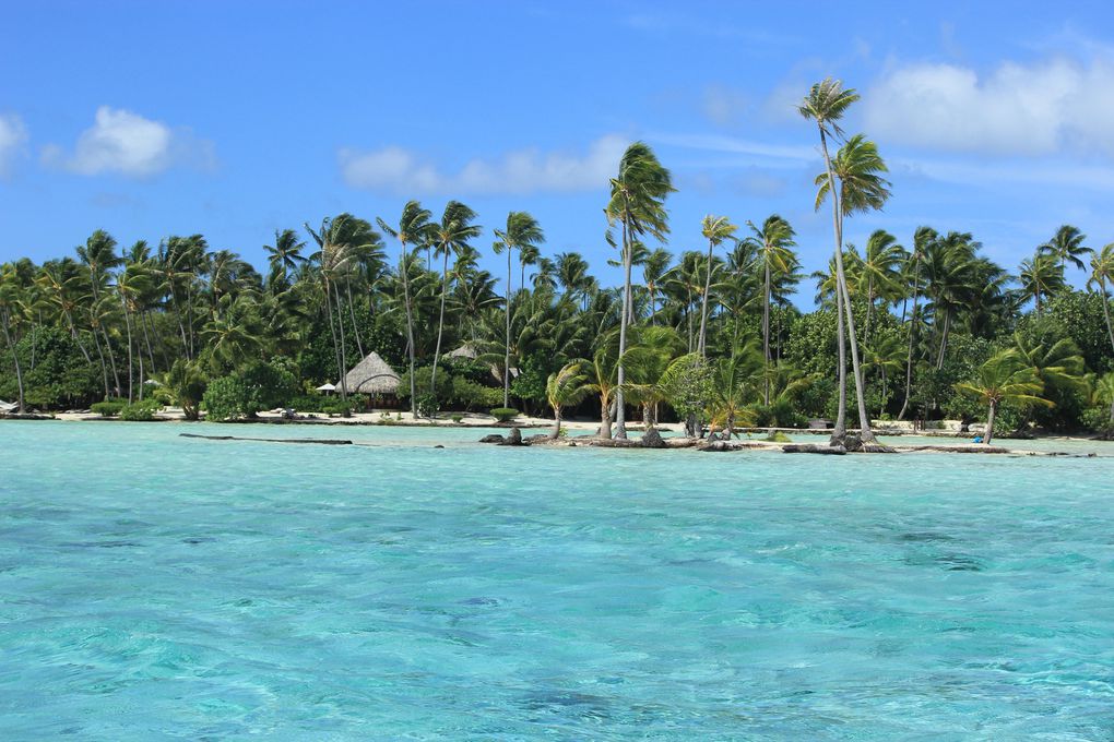 Tahiti, Raiatea, Maupiti, Bora Bora, Rangiroa: du 26 mars au 11 avril 2012
