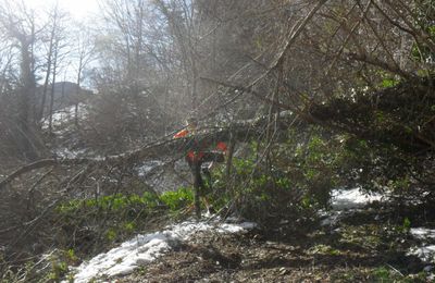 16 mars: Sur les sentiers enneigés du Trail du Barétous 2013