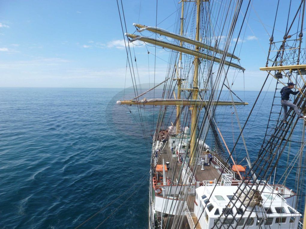 Embarquement à bord du Kruzenshtern du 27 mai au 10 juin 2014.