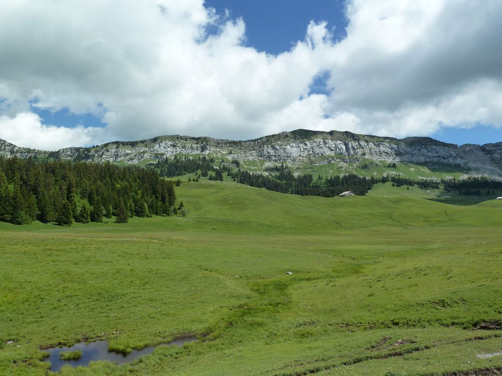 Album - Plateau-des-Glieres