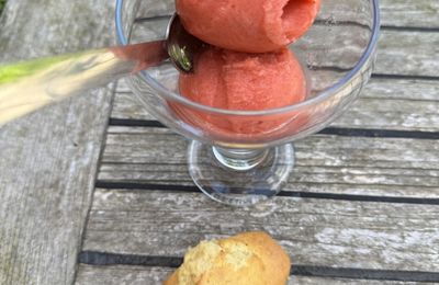 SORBET DE SAISON FRAISES/RHUBARBE
