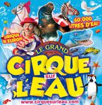 Le grand Cirque sur l'eau sera bientôt à Nancy !...