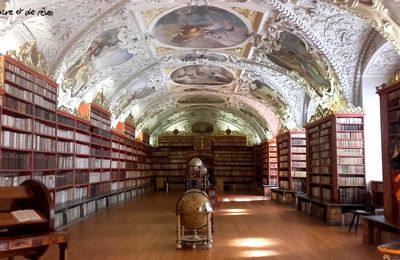 Balade littéraire Prague : Bibliothèques et auteurs tchèques + VIDEO