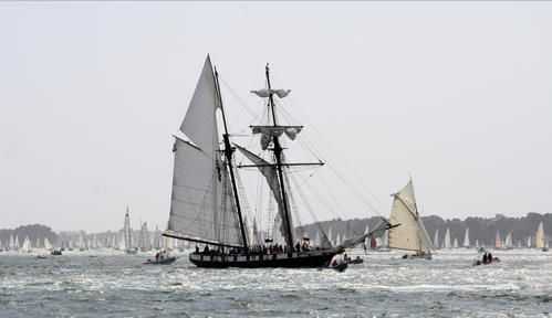 Parade ensoleillée