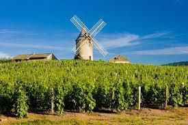 #Moulin à Vent Producers Beaujolais Region France Page 3