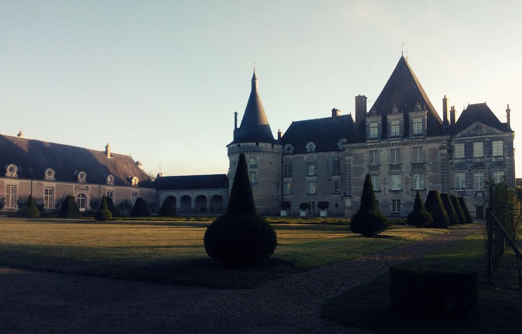 Jardins remarquables du Château d'Azay-le-ferron