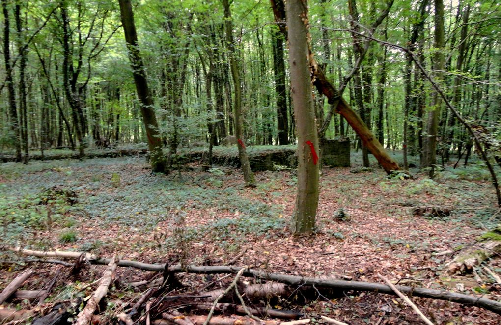 10e édition de la traditionnelle marche du 14 juillet organisée par l'association de sauvegarde du Fort aux Fresques de Hestroff