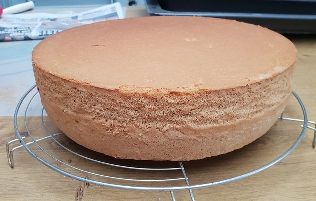 genoise