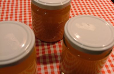 Fumet de crevettes au Thermomix