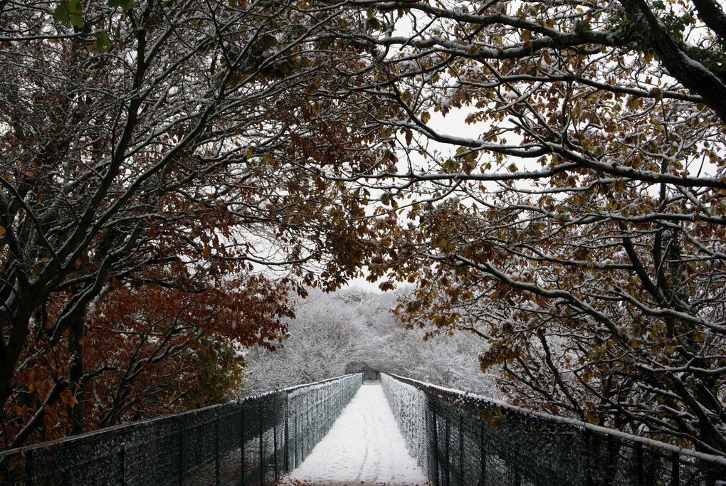 reportage photo de la neige tomber sur le nord cotentin le 27 novembre
2010