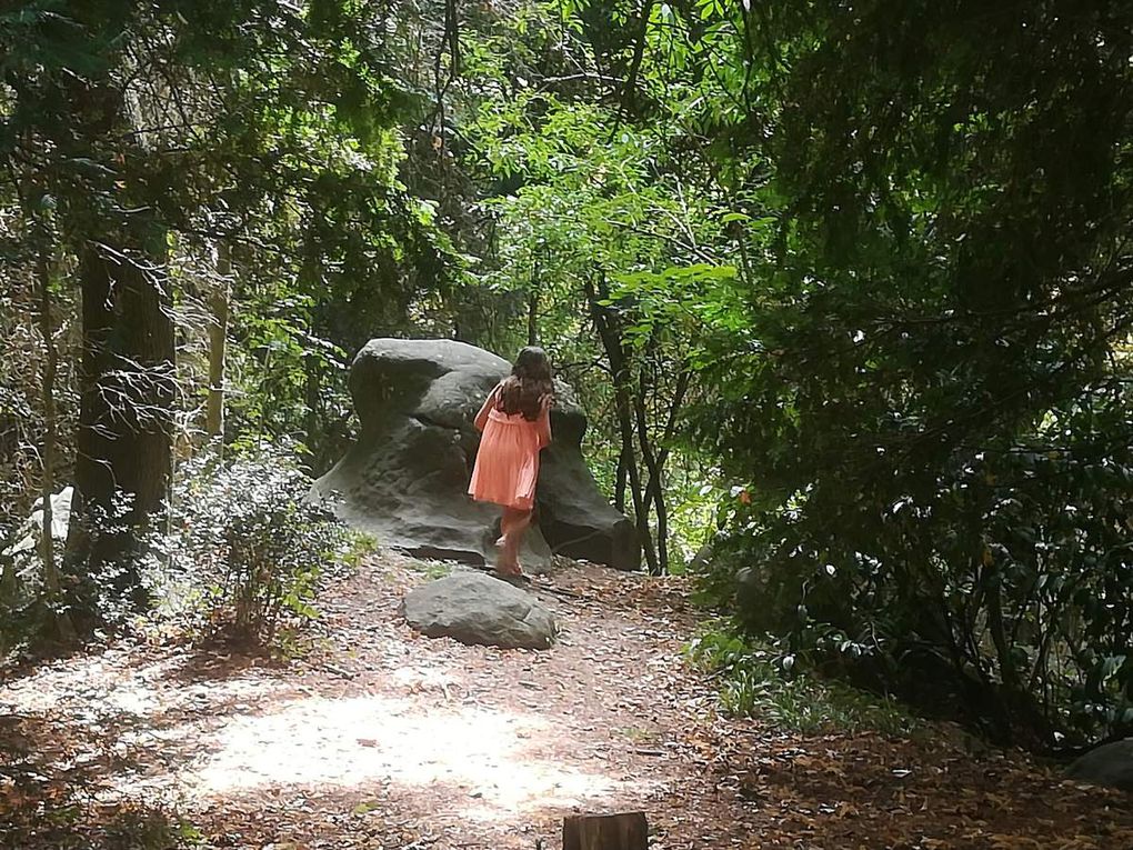 03/08/2019 Parc de la Faucigny