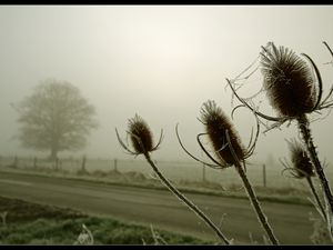  Brouillard givrant sur le pays de Bray