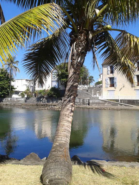 Découverte de Saint Pierre de la Réunion