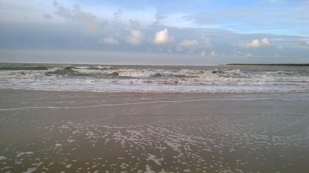 Le vent soufflait fort cet après-midi-là, offrant de jolies vagues. 