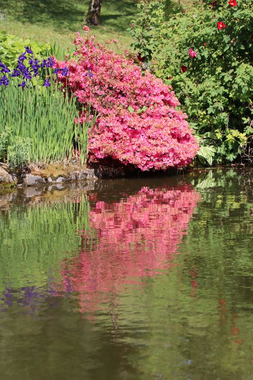 Apremont sur Allier 2.  Le Parc Floral