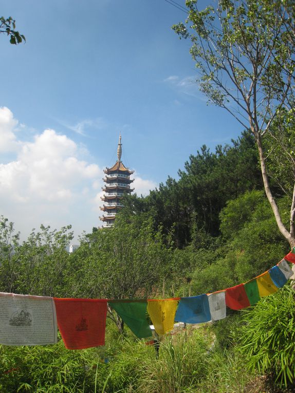 Album - Xianyue Park's Temples