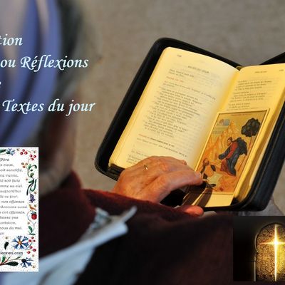 « Il y eut un combat dans le ciel : celui de Michel et de ses anges contre le Dragon » (Ap 12,7)