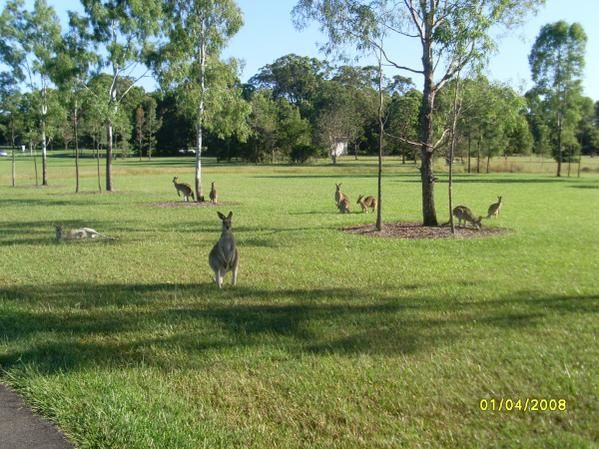 Album - University-of-the-Sunshine-Coast