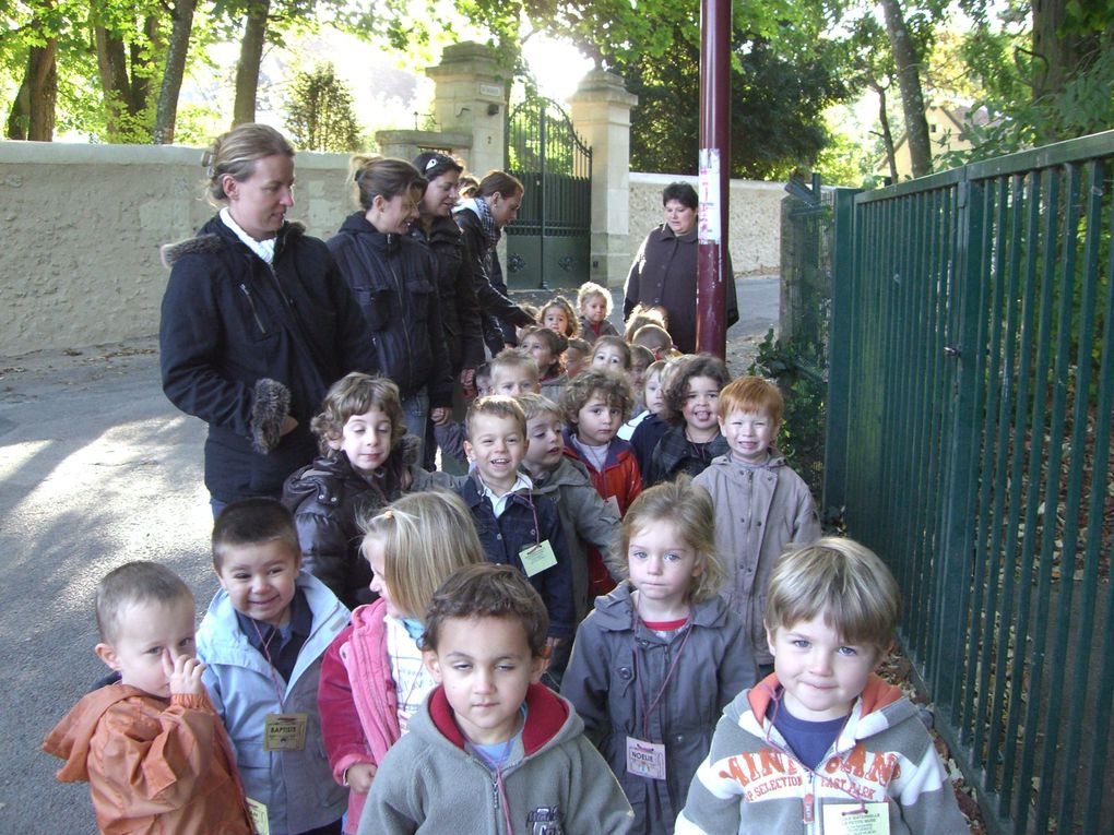 Album - TRISTAN A L'ECOLE