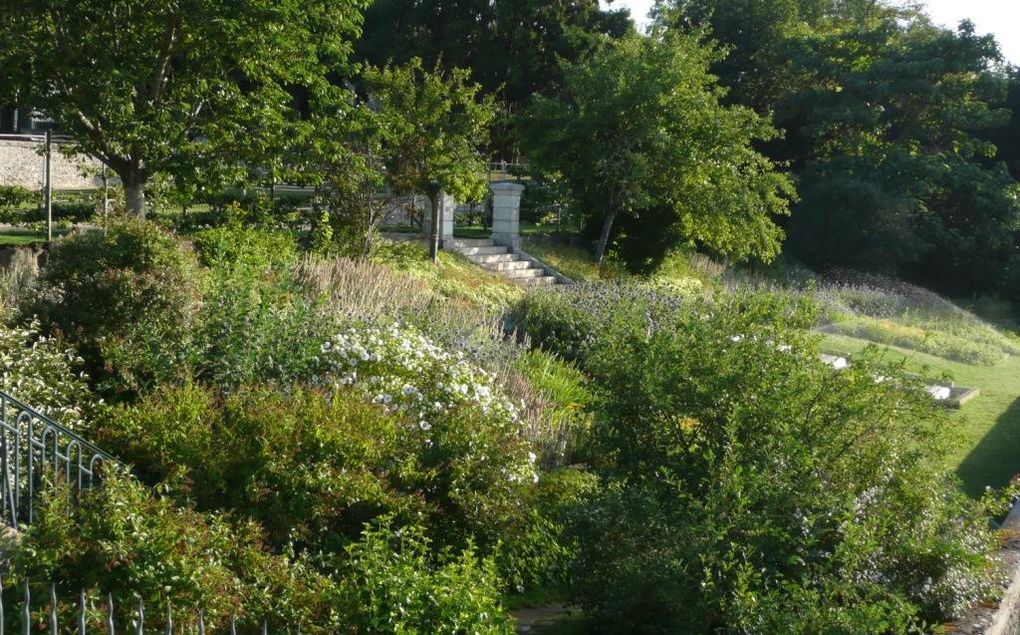 Album - HOTEL-DE-VILLE---JARDINS-DE-L-EVECHE