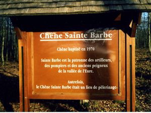 Chêne Sainte Barbe