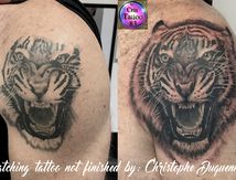 rattrapage tatouage tigre