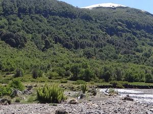 Ultime étape (et pas des moindres) en Patagonie