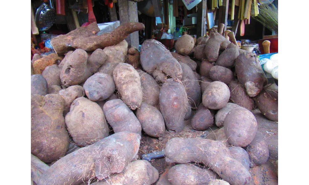 L’agriculture au Bénin