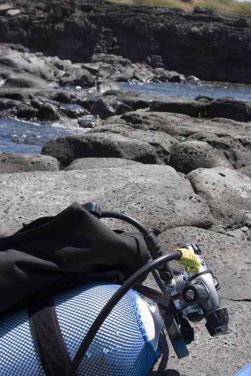 Méthode de suivi environnemental au Cap la Houssaye (Réunion) permettant d’évaluer l’état de santé d’un récif et de détecter des changements
écologiques liés à des perturbations naturelles ou humaines.