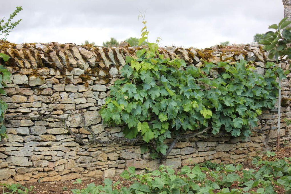 Outils de muraillers, murs de Haute-Saône, et de Saône et Loire