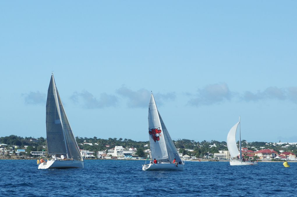 Album - Trophee-Open-Voile-de-St-Francois-2011-2