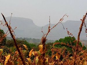 La Guinée ? Mais c'est où ?