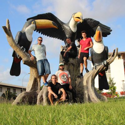 Les touristes et les toucans !