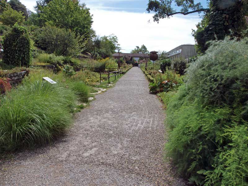 Album - jardin botanique