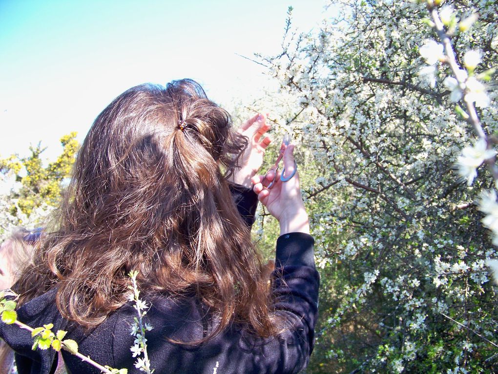 Quel bonheur de commencer la journée d'un dimanche ensoleillé de printemps par une ballade dans les chemins souriant de prunelliers...