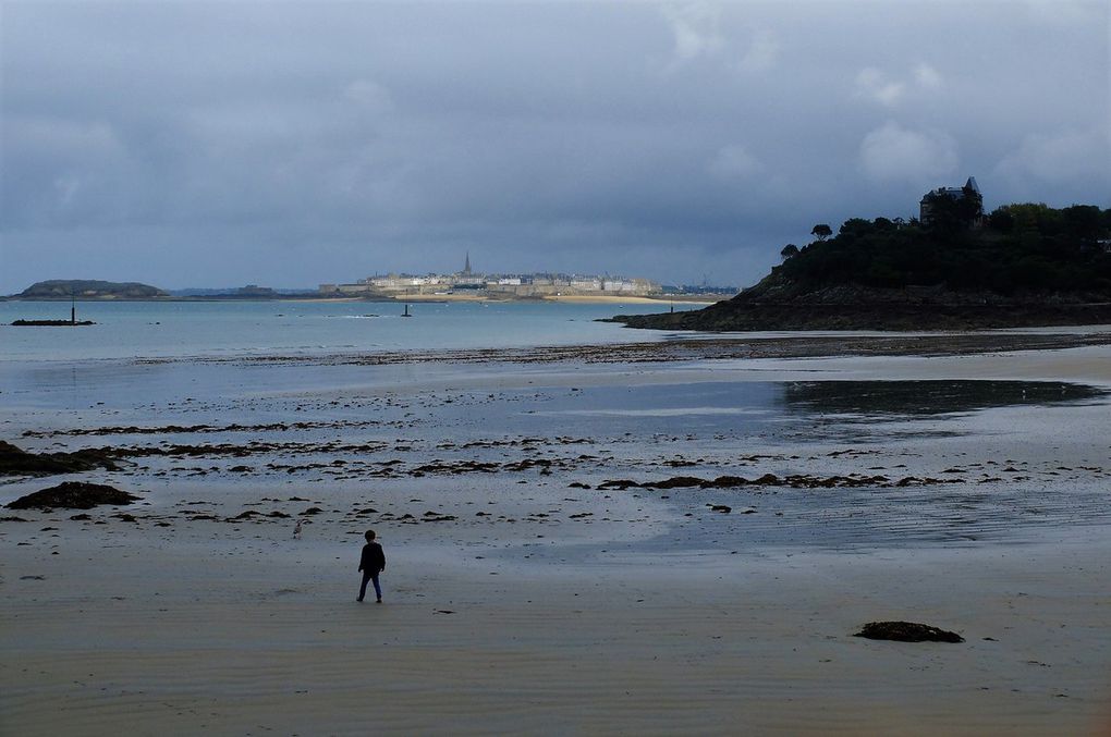 Les &quot;bancales&quot; à Cancale 