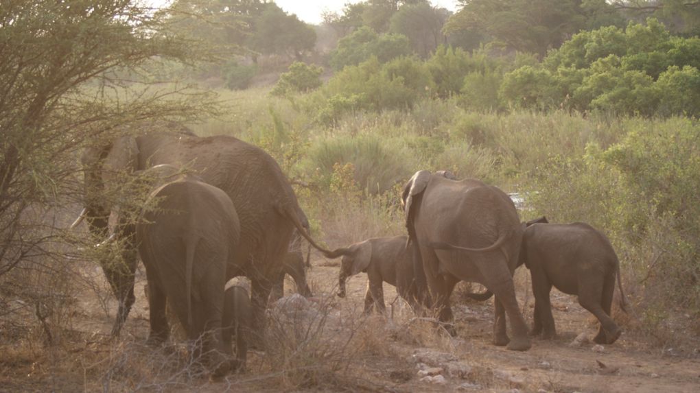 Album - Parc-Kruger