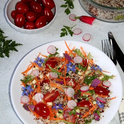 Assiette colorée de quinoa aux légumes de saison 