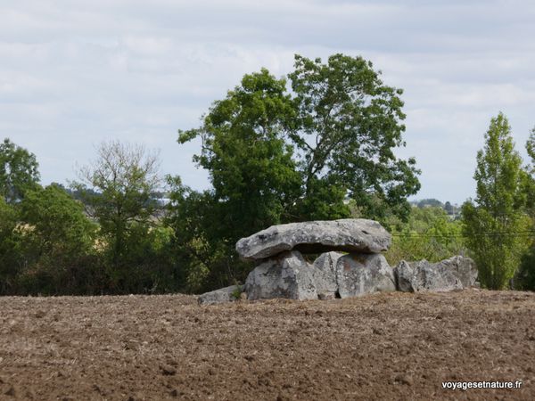 Dolmens et Menhirs de Vendée (85)