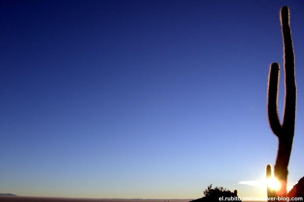 Levé de soleil depuis la Isla de Incahuasi. Traversé d'une des merveilles naturelles du monde. Le plus grand désert de sel du monde. Du blanc à perte de vue et un ciel bleu extraordinaire.