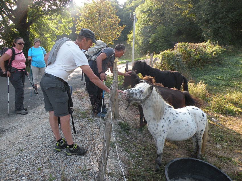 Séjour dans le Cantal