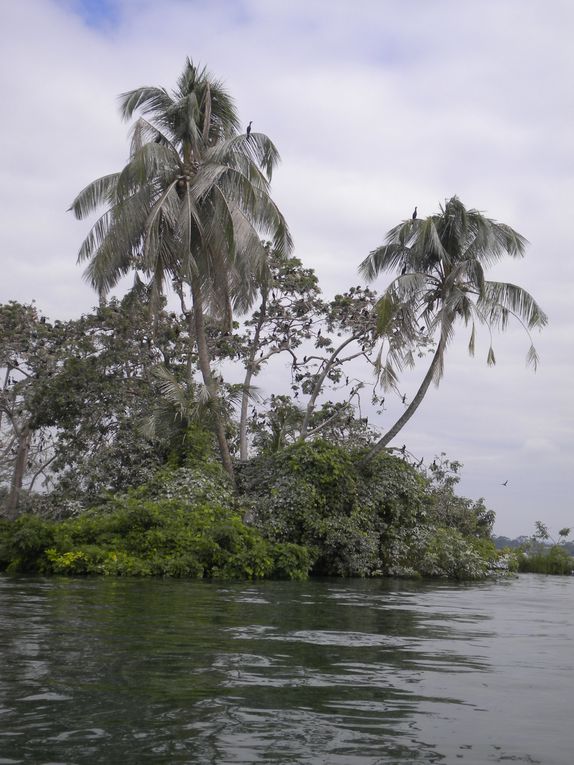 Solola, Sacatepequez, Izabal