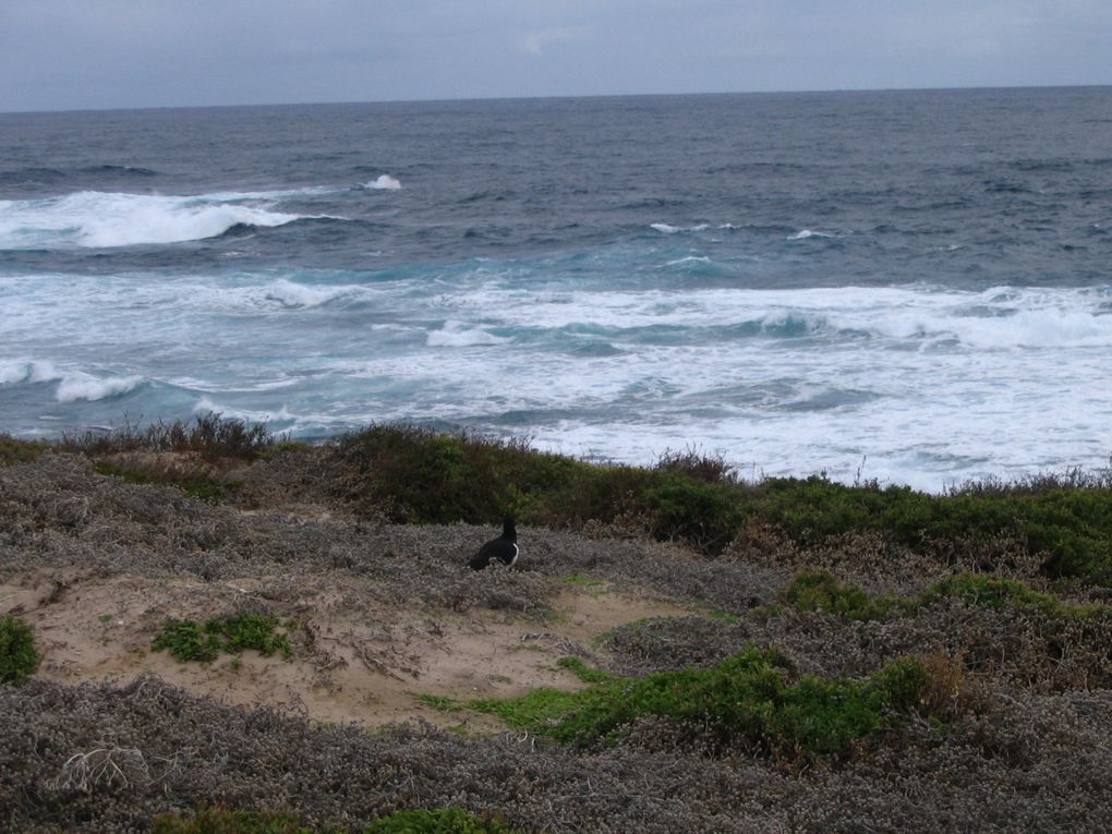 Album - Rottnest-Island