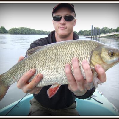 Battle Pistache vs Sirius!