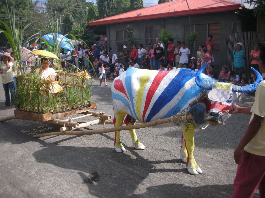 Album - Pintados