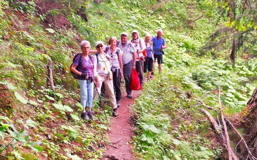 La forêt du Boreon - le 18 juillet 2024