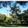 Sydney Tower