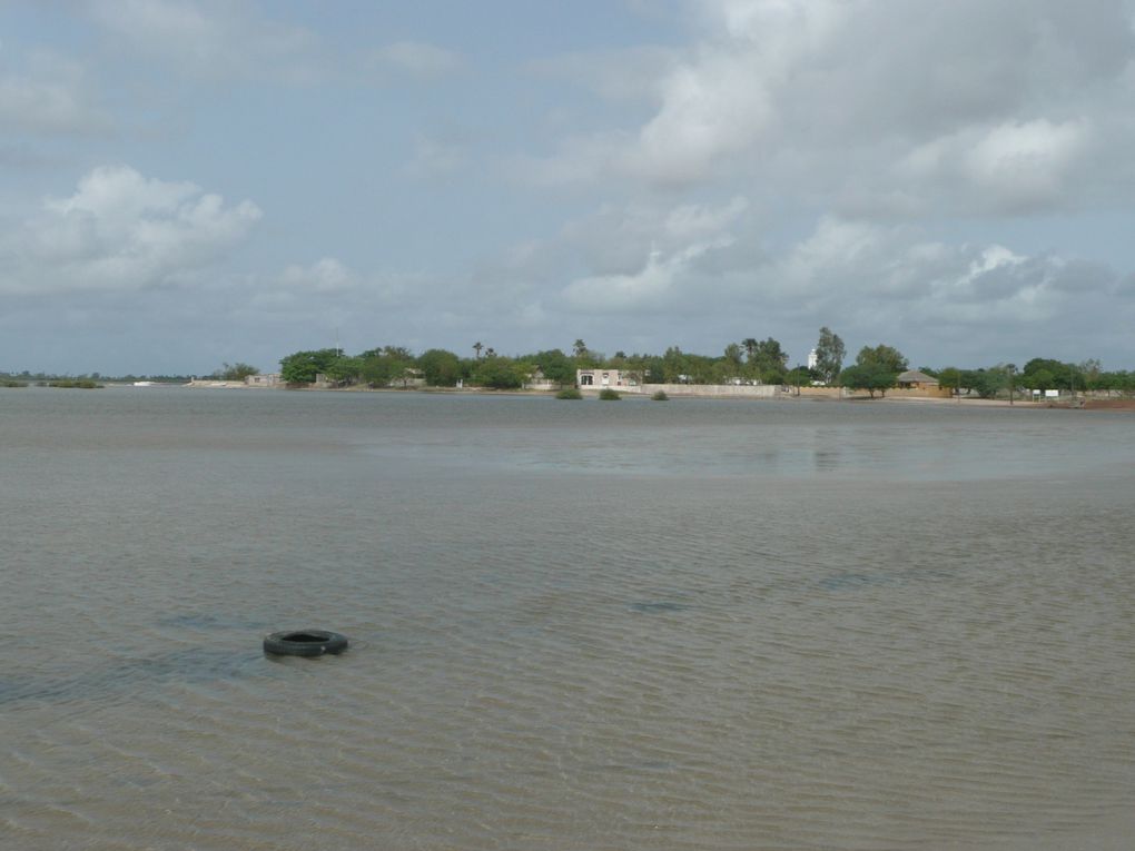 Album - Le Saloum à Hakuna Matata