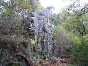 Vallée de la Hoëgne